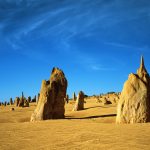 砂漠のハチミツについて 砂漠のハチミツについて