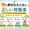 蜂の種類とその毒に違いはあるの?~はち毒と刺された時の対処法を解説